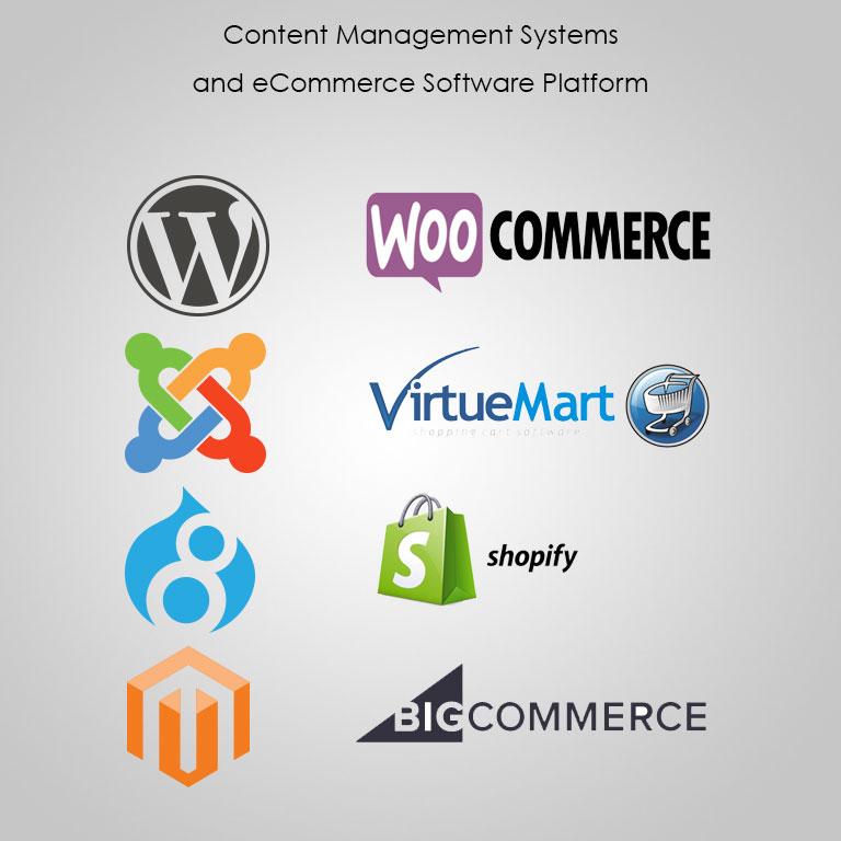 Content management systems (CMS)